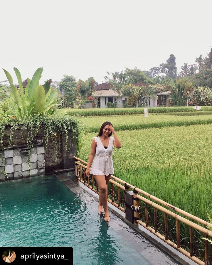 Nirankara Private Pool Villa - By Ubud Paradise 外观 照片