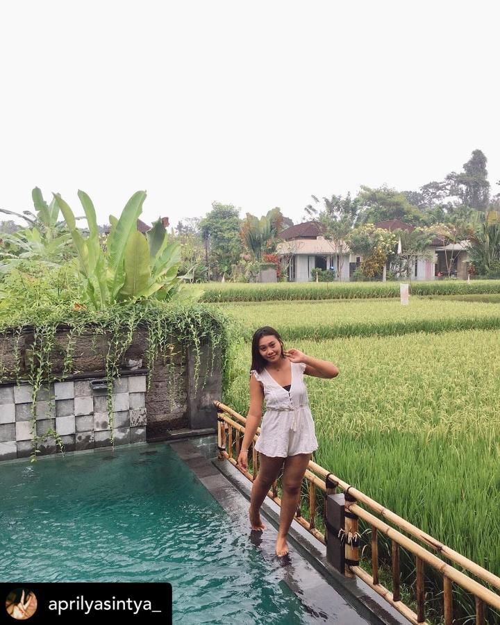 Nirankara Private Pool Villa - By Ubud Paradise 外观 照片